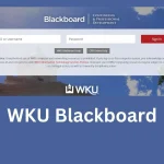 Wku blackboard Ultra Base Navigation